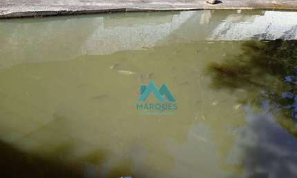 Lindo Sitio, com tanque de Peixe, piscina, 6500m², estuda troca com casa ou ap