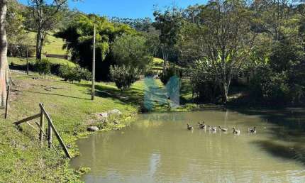 Chácara / sítio com 3 quartos à venda no Cedro Alto, São Luiz do Paraitinga 