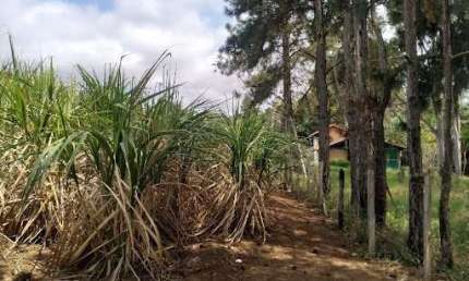 Terreno à venda no Chácaras Santa Rita, Caçapava 