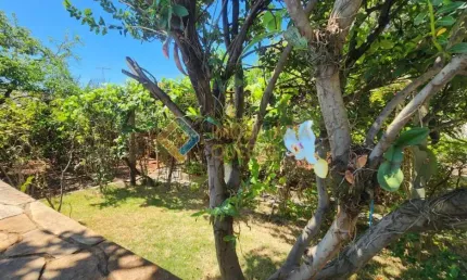 Chácara / sítio com 3 quartos à venda na Rua Ronald de Carvalho, Jardim Maria Goretti, Ribeirão Preto por R$ 650.000
