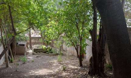 Terreno comercial para alugar na Rua Piquete, 668, Nova Campinas, Campinas por R$ 3.000