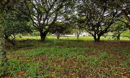 Chácara / sítio com 2 quartos à venda na rua sebastião wenceslau pinheiro, 455, loteamento chácaras vale das garças, campinas, 75 m2 por r$ 550.000
