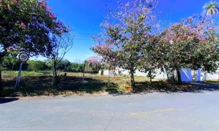 Terreno à venda na rua figueira, 01, jardim roseira, monte alegre do sul por r$ 2.000.000
