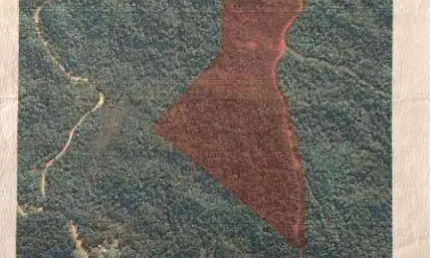 Área à venda, 20000 m² por r$ 150.000 - miringuava - são josé dos pinhais/pr