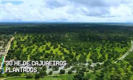 Fazenda à venda na Mfq3+775 Chorozinho, Ce, Patos dos Liberatos, Chorozinho