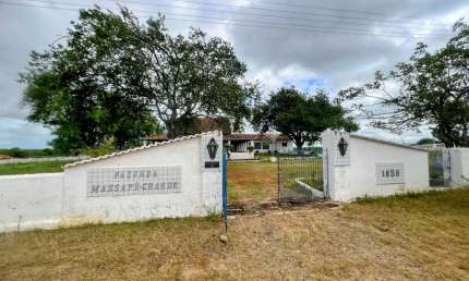 VERAS VENDE FAZENDA HISTÓRICA MASSAPÊ GRANDE - EM MADALENA-CE