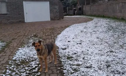 Chácara / sítio com 2 quartos à venda na Fazenda Souza, Caxias do Sul 