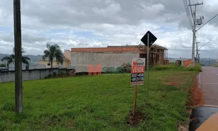 Terreno à venda na Rua Joaquim de Paula Xavier, 1050, Estrela, Ponta Grossa
