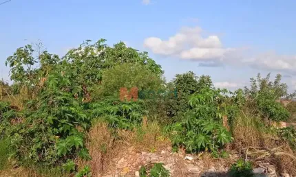TERRENO RUA LAGOA RODRIGO DE FREITAS EM FRENTE AO NR 108