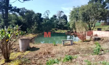 Terreno comercial para alugar na Rua Ambrósio Bricaillo, 788, Chapada, Ponta Grossa