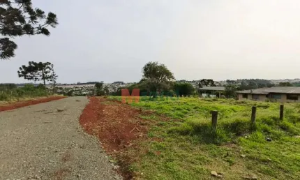 Terreno à venda na Rua José Koteski, 01, Cará-cará, Ponta Grossa