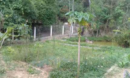 Terreno 10.000 metros quadrados em mata nativa em Mairinque, SP