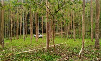 Terreno comercial à venda no Dom Joaquim, Brusque  por R$ 990.000