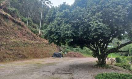 Casa com 2 quartos à venda no Cedrinho, Brusque  por R$ 565.000