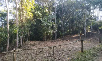 Terreno à venda no Fernandes, São João Batista  por R$ 65.000