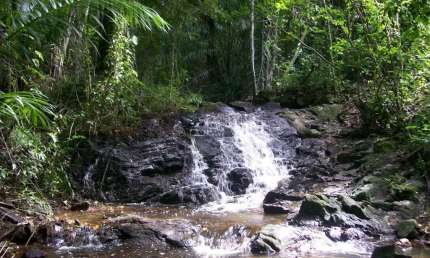 Terreno à venda em Reserva Aruá Mata de São João-BA: 2.200 m² de oportunidade única!