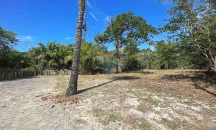 Terreno de 450m² com 2 vagas de garagem no Condomínio Fazenda Praia do Forte, Mata de São João-BA!