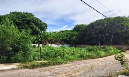 Terreno Comercial à Venda em Itacimirim Camaçari-BA,  1.000m² de Oportunidade Única!