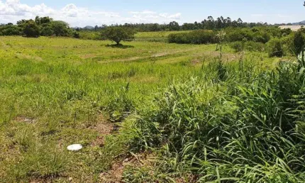 Terreno à venda na Avenida Edgar Pires de Castro, 8075, Lageado, Porto Alegre