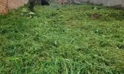Terreno à venda na Rua Aldrovando Leão, 447, Vila Jardim, Porto Alegre