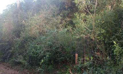 Terreno no bairro Aberta dos Morros em Porto Alegre