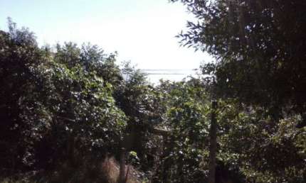 Terreno para Venda - 456.5m², 0 dormitórios, Santa Tereza