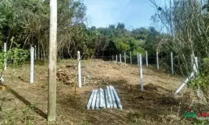 Terreno à venda na Rua Corticeira, 7, Lageado, Porto Alegre