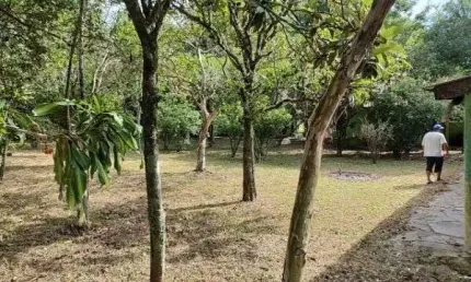 Sítio em Porto Alegre, no bairro São Caetano, à venda.