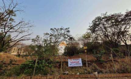 Terreno à venda, 904 m² por R$ 520.000,00 - Parque dos Pinus - Ribeirão Preto/SP