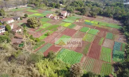 Área à venda, 24840 m² por R$ 11.178.000,00 - Jardim Itaú - Ribeirão Preto/SP