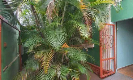 Casa à venda, 301 m² por r$ 600.000,00 - campos elíseos - ribeirão preto/sp