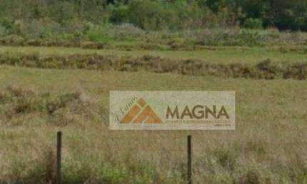 Área à venda, 7772 m² por R$ 3.900.000,00 - Vila Monte Alegre - Ribeirão Preto/SP