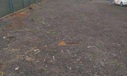 Terreno para alugar, 500 m² por R$ 8.708,37/mês - Jardim Palma Travassos - Ribeirão Preto/SP