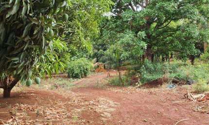 Área à venda, 24000 m² por R$ 11.000.000,00 - Alto do Ginásio - Sertãozinho/SP