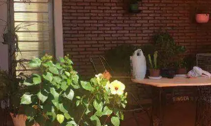 Casa à venda, 120 m² por R$ 320.000,00 - Vila Albertina - Ribeirão Preto/SP