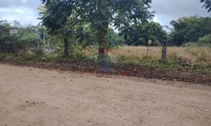 Terrenos  no Loteamento Rincão Mimoso : Ótima Localização e Preço!