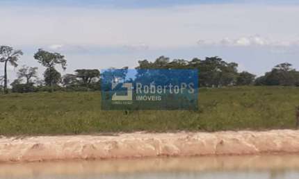 Espetacular fazenda  para plantação de arroz ou soja  localizada no Vão Paraná Estado de Goiás