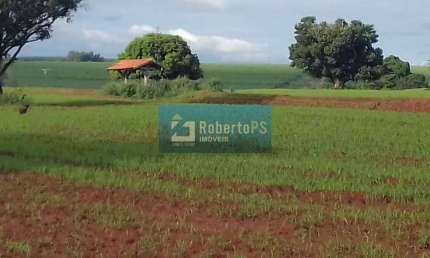 Fazenda à venda com 104,5 alqueires próximo a Presidente Prudente
