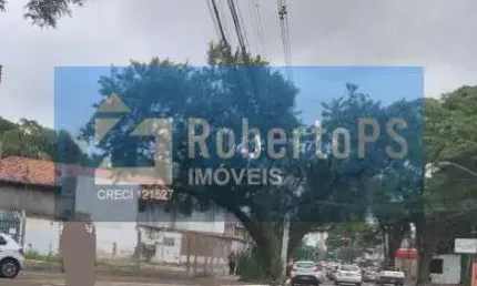 Terreno espetacular  na Avenida José Longo  com 440m