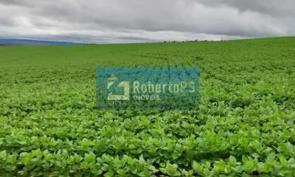 Fazenda à venda no Centro, São João D'Aliança 