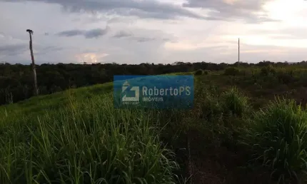 Linda Fazenda em Cristalina pronta para pecuária e agricultura.