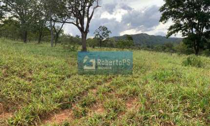 Fazenda de gado à venda na região de Paracatu - MG com 212 hectares