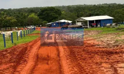 Você sonha em ter sua própria fazenda no coração do Mato Grosso? Então não perca essa oportunidade única!