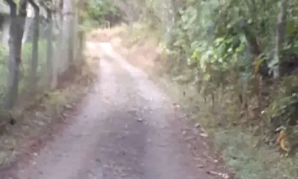 Chácara / sítio com 2 quartos à venda na Vila São Geraldo, São José dos Campos  por R$ 1.800.000