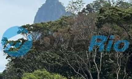 Cobertura com 4 quartos à venda na Rua Alzira Cortes, Botafogo, Rio de Janeiro, 442 m2 por R$ 4.597.000