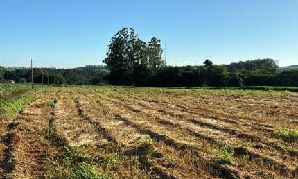 Terreno à venda na Rodovia Mabio Gonçalves Palhano, Gleba Fazenda Palhano, Londrina