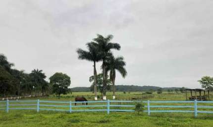 Fazenda para Venda em Registro, Matão de Dentro Inv