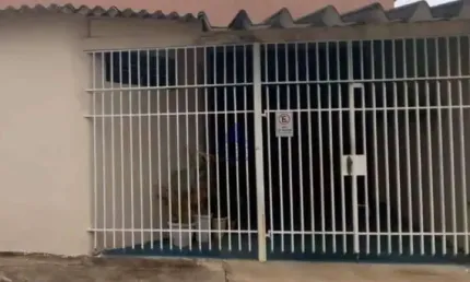 Barracão / Galpão / Depósito com 1 sala para alugar em Santa Luzia, Taubaté , 174 m2 por R$ 3.500