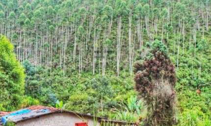 Sitio Venda em Redenção da Serra, podendo fracionar, com 182.000m².