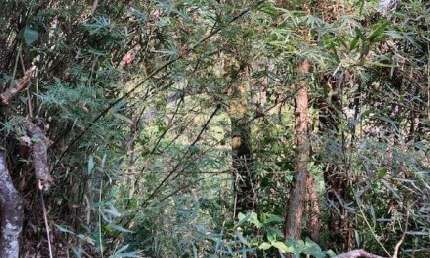 Terreno à venda 10M², JARDIM COLIBRI, EMBU DAS ARTES - SP
